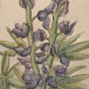 Meet your Posher, Jacqueline